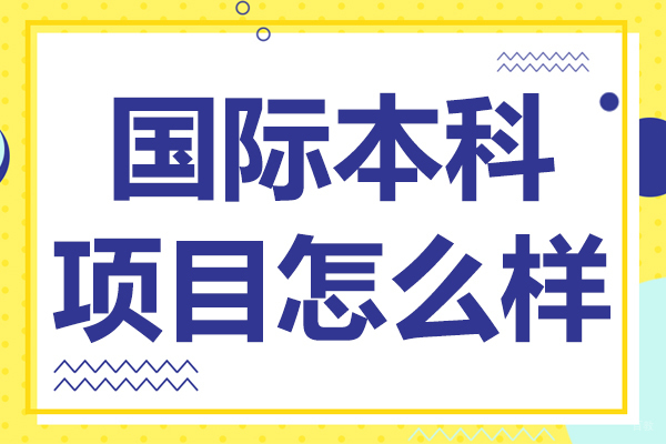 国际本科项目怎么样
