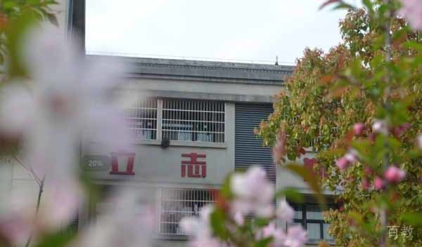 学校环境
