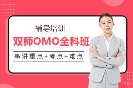 北京双师OMO全科班