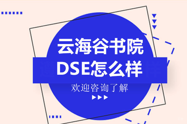 深圳国际高中-深圳云海谷书院DSE怎么样