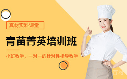 北京北京三年青苗菁英培训班