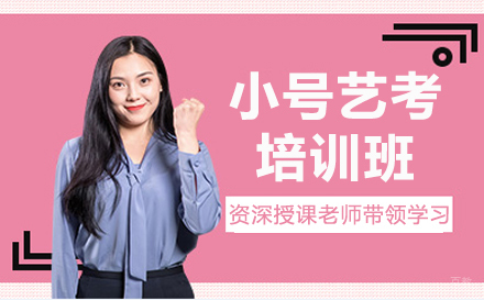 郑州小号艺考培训班
