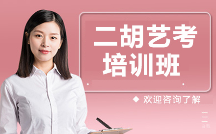 郑州二胡艺考培训班