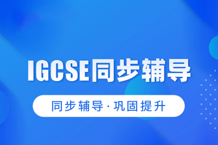 武汉IGCSE同步辅导课程
