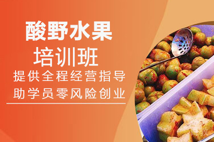 贵阳酸野水果培训班