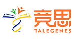 上海竞思教育学校