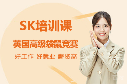 北京sk培训课