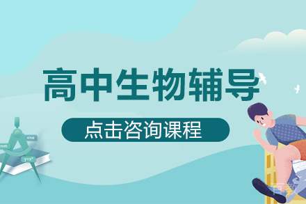高中生物辅导班