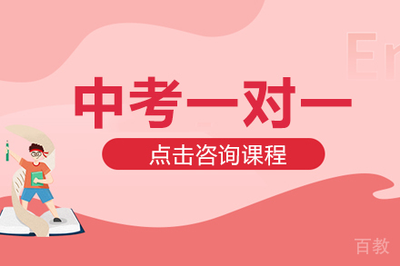 中考一对一辅导班