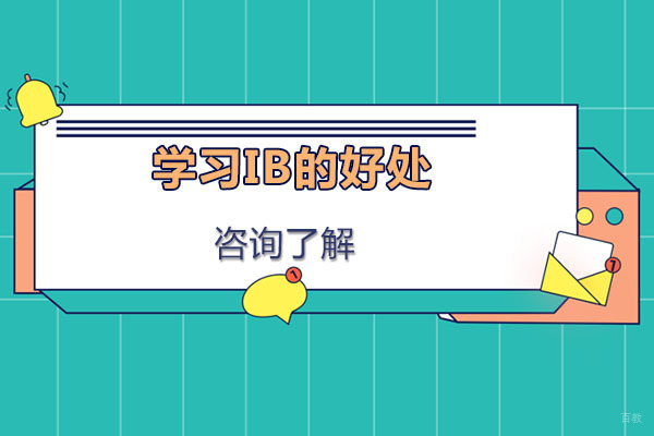 学习IB的好处