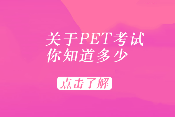 PET考试深度解析：从能力定位到分模块突破的完整指南