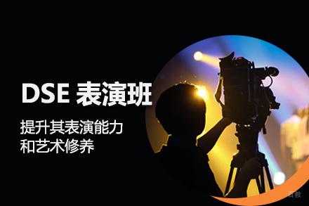 合肥DSE表演班