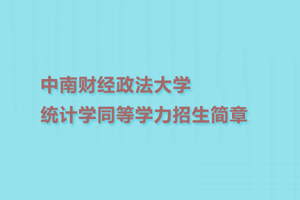 中南财经政法大学统计学同等学力招生简章