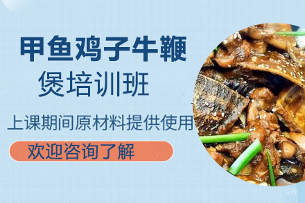 泉州甲鱼鸡子牛鞭煲培训班