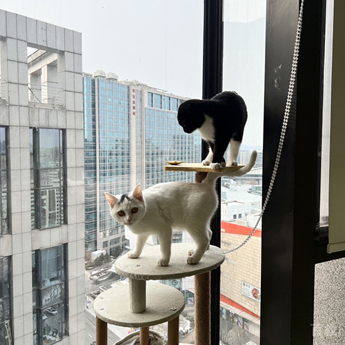 室内环境