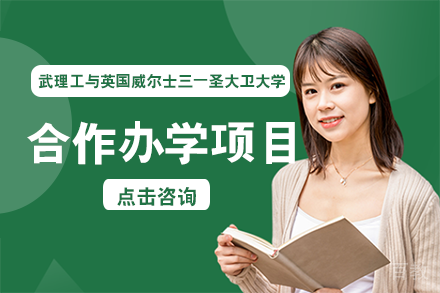 武汉理工与英国威尔士三一圣大卫大学合作办学项目