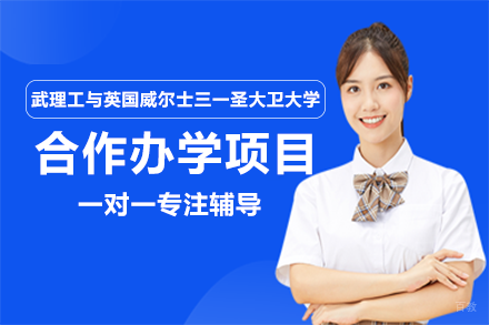 成都武汉理工与英国威尔士三一圣大卫大学合作办学项目