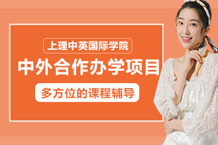 成都上海理工大学中英国际学院办学项目