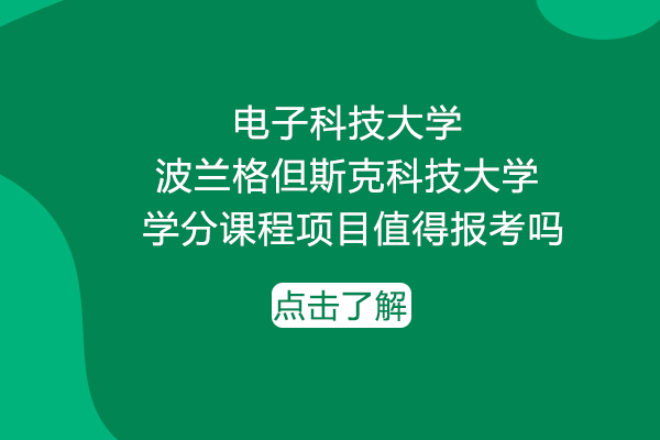 电子科大与波兰格但斯克科大联办学分项目深度解析：报考价值与核心优势全览