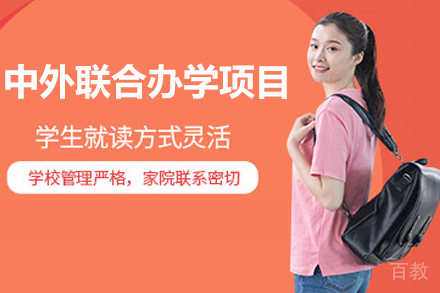 中外联合办学项目