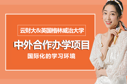 云南财经大学&英国格林威治大学合作办学项目
