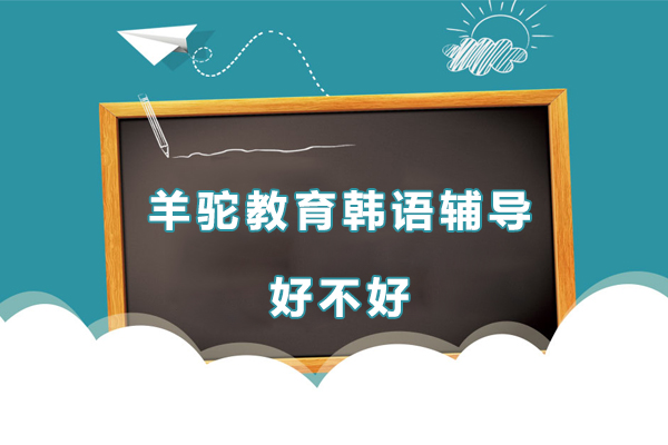 大连羊驼教育韩语辅导好不好