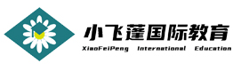上海小飞蓬国际教育
