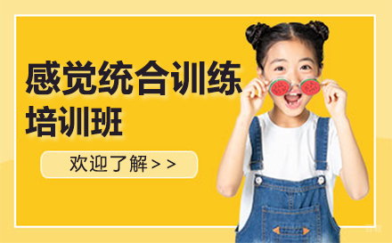 广州儿童感觉统合训练培训班