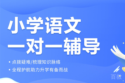 武汉小学语文一对一辅导班