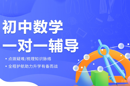 初中数学一对一辅导班