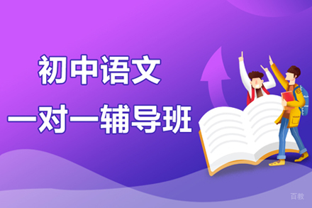 初中语文一对一辅导班