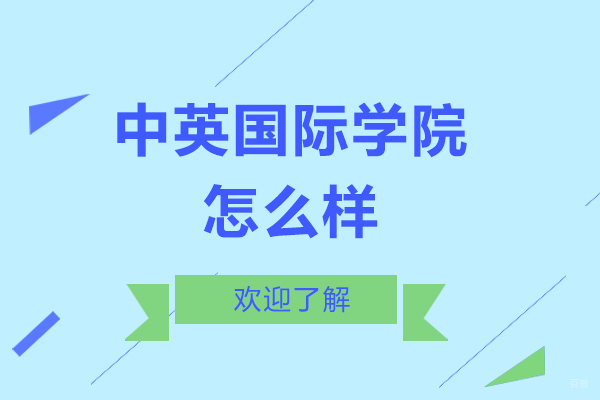 上海理工大学中英国际学院怎么样-好不好