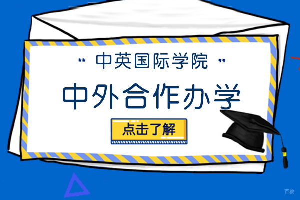 上海理工大学中英国际学院中外合作办学项目