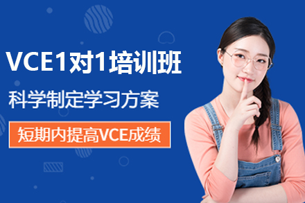 天津国际课程VCEVIP1对1培训班
