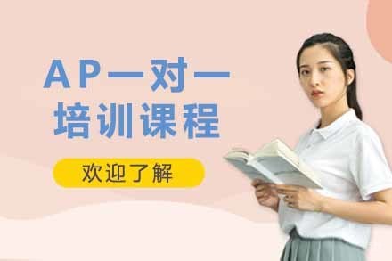 上海AP一对一课程