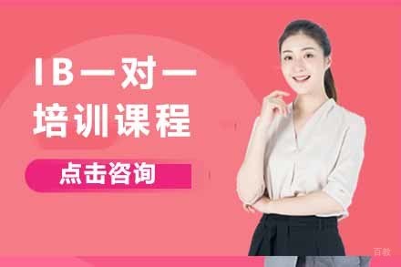 上海IB一对一课程