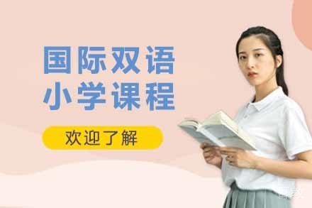 国际双语小学课程