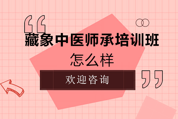西安藏象中医师承培训班怎么样