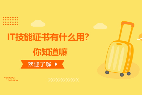 IT技能证书有什么用?你知道嘛