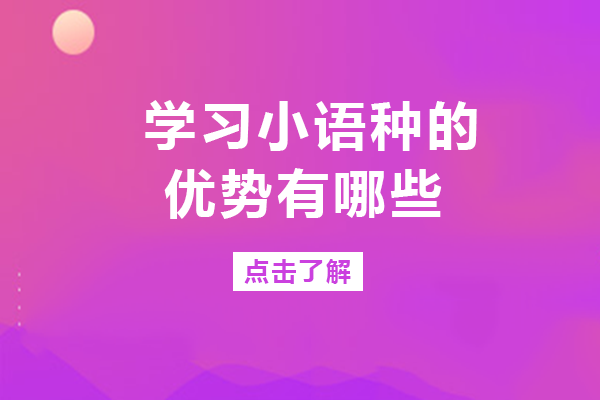长沙小语种学习价值解析：从升学到留学的多维优势