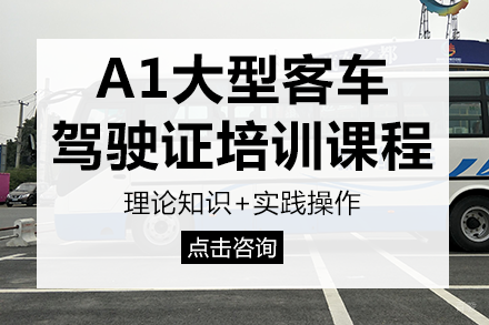 重庆A1大型客车驾驶证培训课程