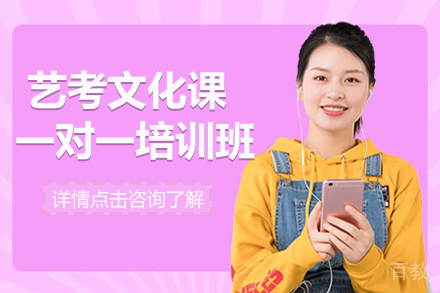贵阳艺考文化课一对一培训班
