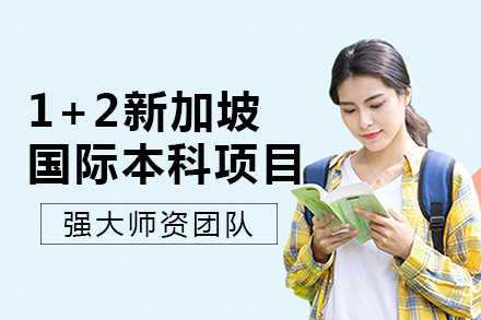 成都电子科技大学1+2新加坡国际本科项目
