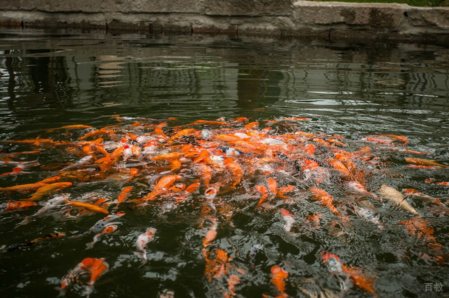 学校环境