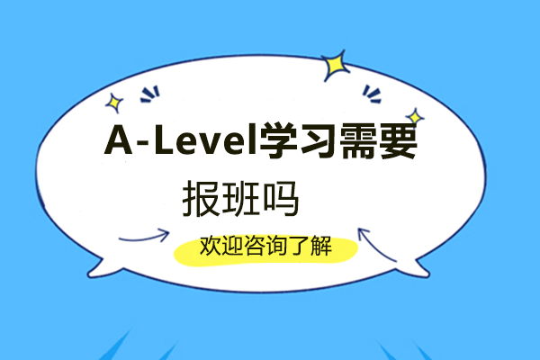 厦门A-Level学习需要报班吗-厦门中英枫禾国际学校