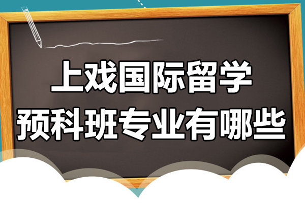 上戏国际留学预科班专业有哪些-上海戏剧学院艺术留学预科招生简章