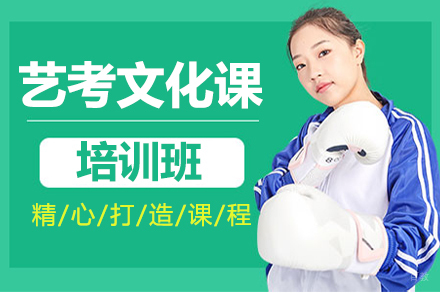 深圳艺考文化课培训班