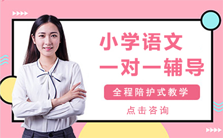 深圳小学语文一对一辅导培训班