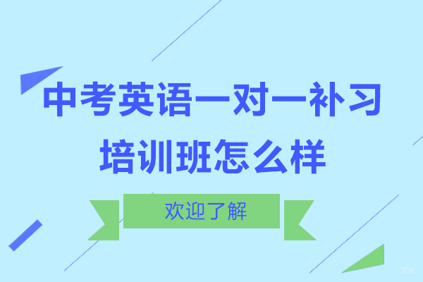 深圳中学辅导-中考英语一对一补习培训班怎么样