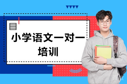 深圳小学语文一对一培训